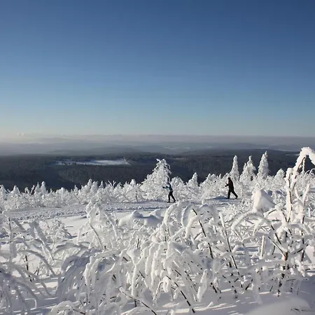 Апартаменты Ferienwohnung-bergkristall Neudorf (Saxony)