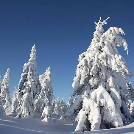 Ferienwohnung-bergkristall Neudorf (Saxony)